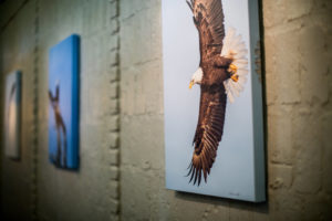 Inspired by the offce’s beautiful outdoor surroundings, serene nature photos line the hallways and complement the rustic theme.